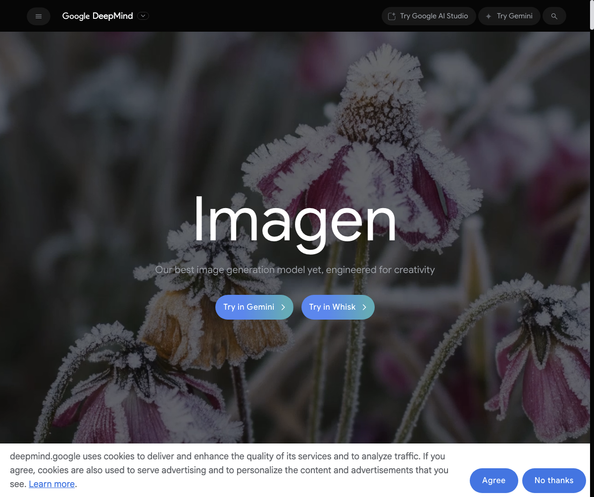 Google Imagen in action