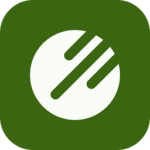Rayopix logo