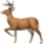 DeerFlow logo